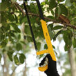 Imagen de Arco de sierra ajustable 8" 10" 12"